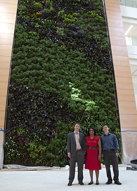 Dr. Michael Waring, Dr. Shivanthi Anandan, and Dr. Jacob Russell stand in front of the biowall.